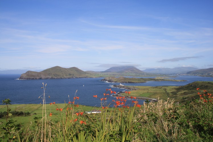 It may have taken us a while to find the trackway, but with views like this we weren't complaining. 