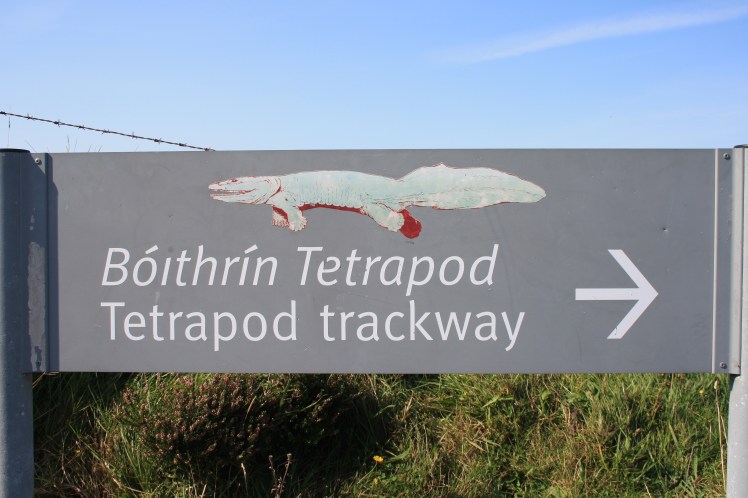 One of the (very) few signs leading to the Tetrapod Trackway.
