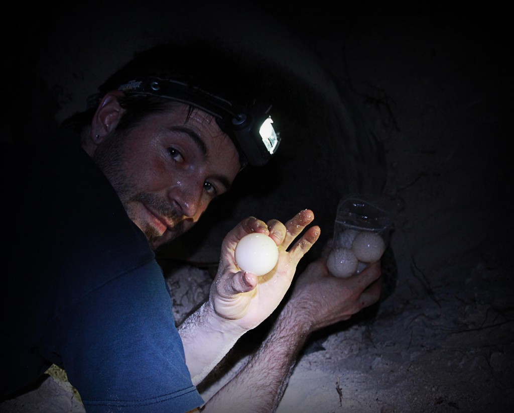 Herpetologist Profile: Anthony Rafferty – The Herpetological Society of ...