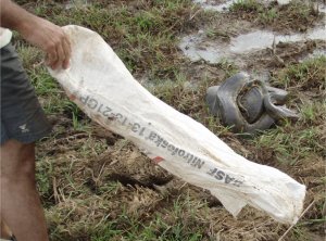 Releasing an anaconda after data collection