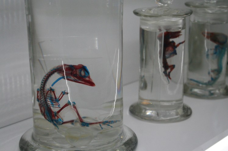 Credit: Robin Zebrowski