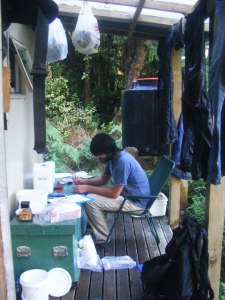 Dissecting stomachs at 