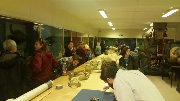 The Zoological Museum is incredible and comes highly recommended