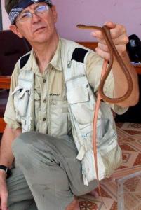 Ron with a Brown Tree Snake Boiga irregularis)