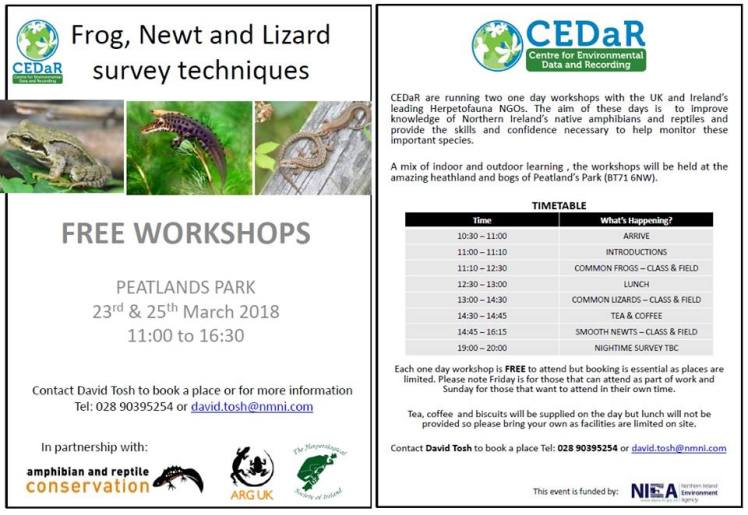 28575660_10159972191450363_6612783267334329320_n